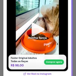 Ícone do link